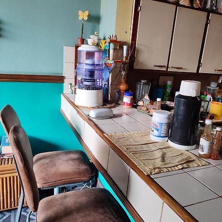 The Cozy Cactus House B&B Cartago Centro English Spoken Extérieur photo