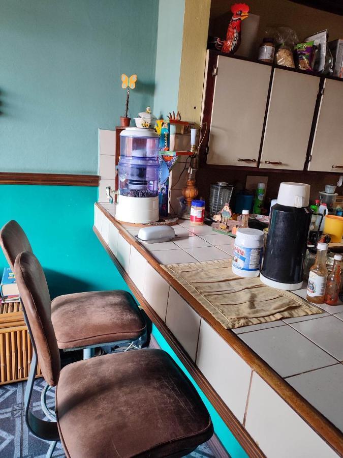 The Cozy Cactus House B&B Cartago Centro English Spoken Extérieur photo